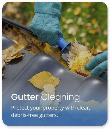 Gutter Cleaning