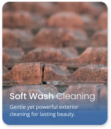 Soft Wash Cleaning