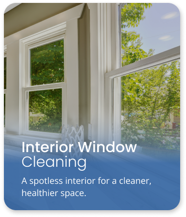 Interior Cleaning