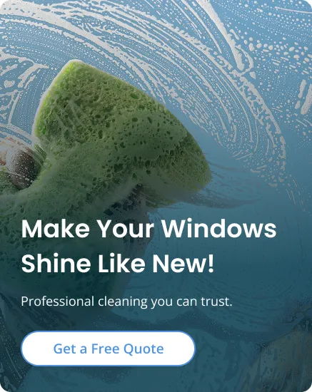 window_cleaning_sponge_quote