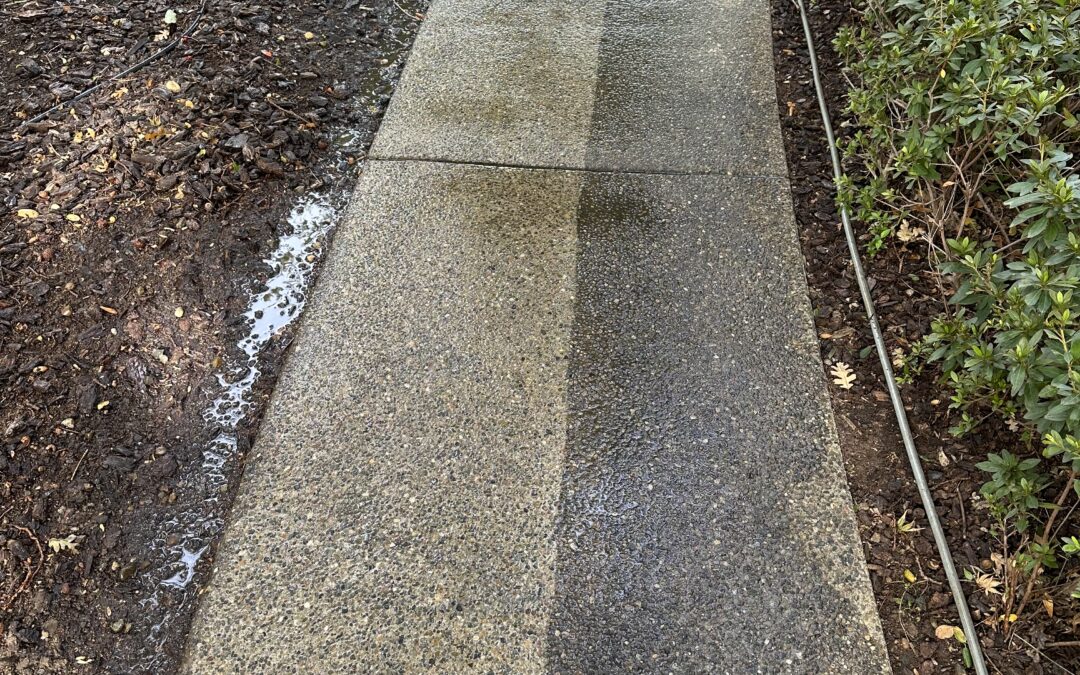 Do NOT Pressure Wash Windows. Here’s Why