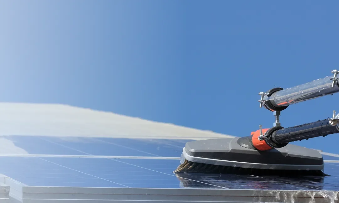 What You Need to Know About Roof Moss Removal