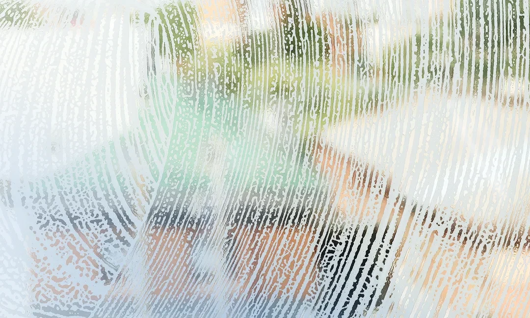 Top 4 Best Window Cleaners to Use