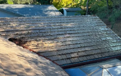 Top Signs Your Home Needs Immediate Roof Repair