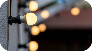 Moss Removal Specialist