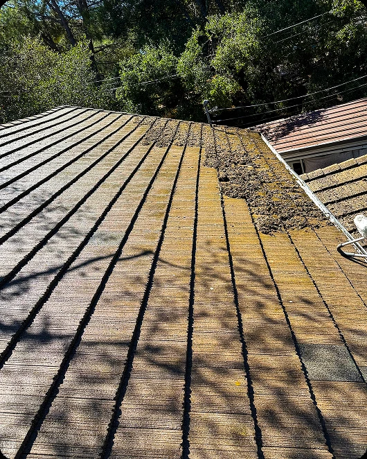dirty_roof_section