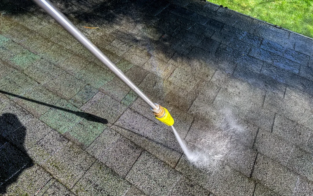 Everything You Need to Know About Georgian Windows