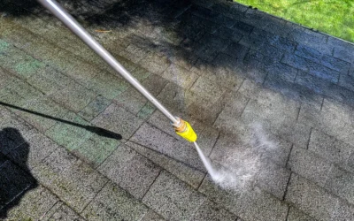 Everything You Need to Know About Georgian Windows