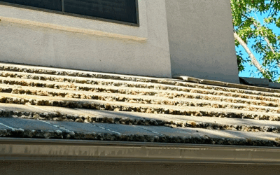 What are the Pros and Cons of a Standing Seam Metal Roof?