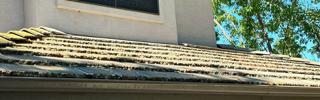 What are the Pros and Cons of a Standing Seam Metal Roof?