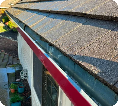 Gutter cleaning showing roof edge with debris buildup before removal