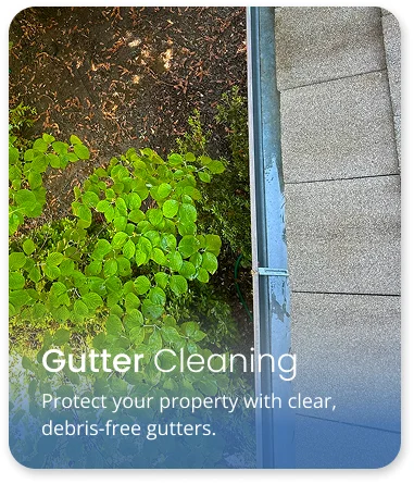 Gutter Cleaning