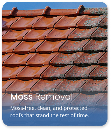Professional moss removal service for roof cleaning and long-term roof protection