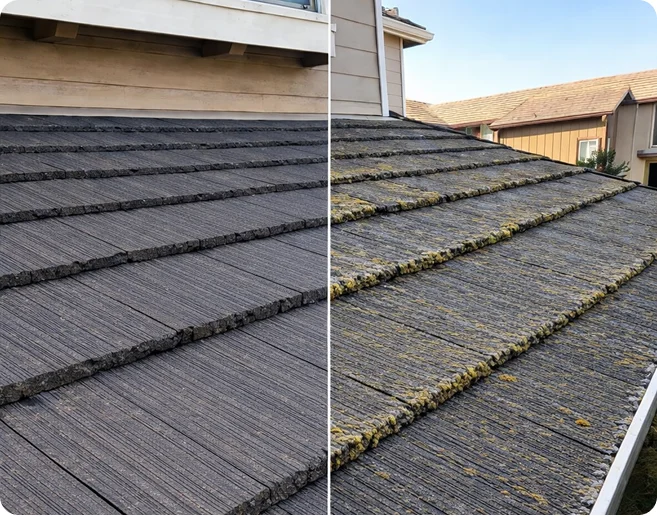 Before and after roof cleaning showing tile shingles with moss and algae removed