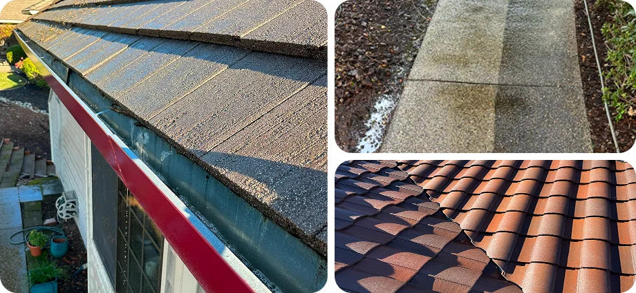 roof-gutter-walkway-cleaning-services-collage Roof, gutter, and walkway cleaning services collage showing before and after results