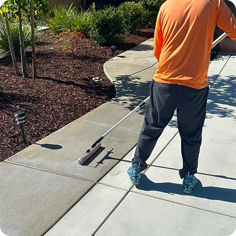 Professional sidewalk pressure washing cleaning concrete walkway